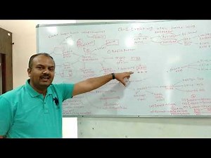 Creating HTML form using Kompozer