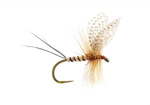 Wally Wing Mayfly Fly Tying Video Instructions — In the Riffle