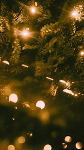 182 reactions · 16 shares | A behind-the-scenes look at how we set the stage for a December full of magical memories. Book your stay with us at https://heyor.ca/epTdrf. #TheDriskill | The Driskill | Facebook