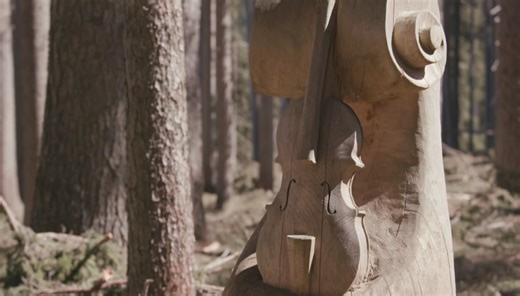 The fight to save an Italian forest prized by Stradivari