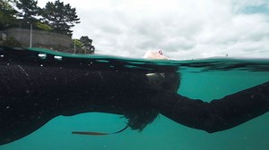 A revoir : 'L’entre-deux-mondes des devenus sourds': un handicap invisible - RTBF Actus