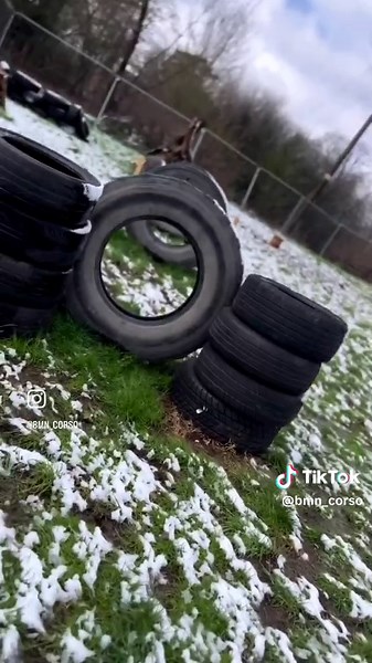 Non-profit private rent dog field now open for bookings! Completely funded by myself, all profits will go back into the field and to local dog charities. 2 acres of completely secure land (6 foot fences all round) incorporating agility course, bite stations and scenarios along with a dog long jump pool in the summer, a summer house on route for rainy days and much much more All dogs and breeds welcome, businesses looking for discounts or with proposals please get in touch (dog walkers, trainers,