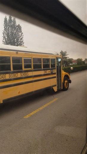 Showing View: Miami Dade District School Bus BlueBird Vision 2007 #37443