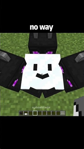 Minecraft Dragon Smiley Face 😱🐉 | Most Unique Build Ever!