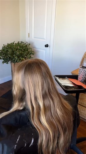 Start to finish 🖌️✂️👱🏼‍♀️💆🏽‍♀️✨ If only hair appointments only lasted this long 😉 Tell me what you guys want to see more of 🫶🏼🤭 | The Demi Hair