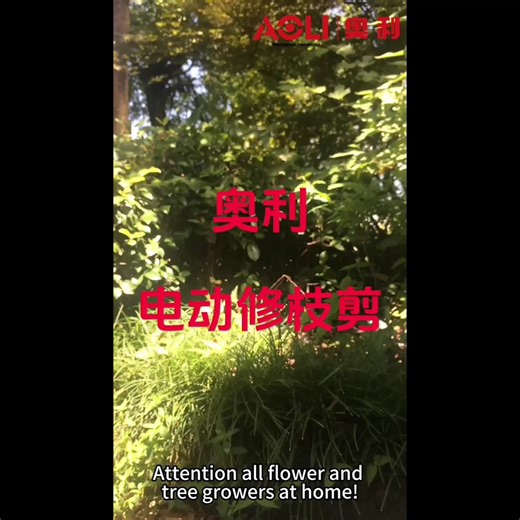 Multi-Functional Electric Pruning Shears Lithium Battery Portable Secateurs Pruning Scissors