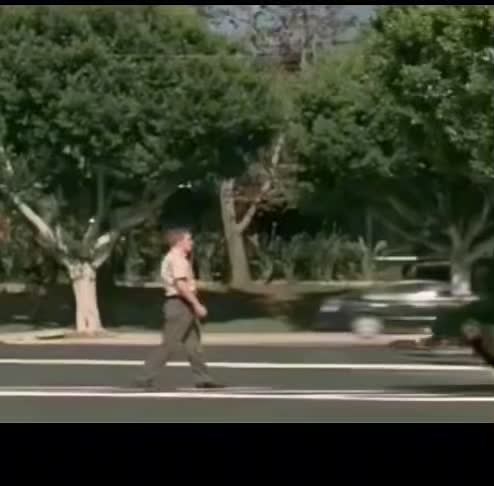 Man's Playful Encounter with a Dog on a Suburban Walk