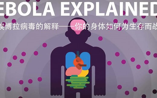 Kurzgesagt科普：埃博拉病毒的解释——你的身体如何为生存而战（中英字幕）