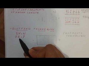 Biochem Lab (Blotting and other) Techniques - Part 1 | USMLE Step 1