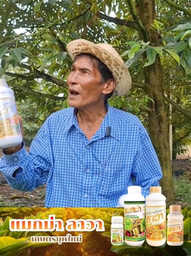 แมกม่าลาวา ดียังไง มาฟังลุงพงษ์เล่าเลยจ้า ✅️✅️ #แมกม่าลาวาเกษตรยุคใหม่ #แมกม่าลาวา #สวนทุเรียน #ปุ๋ยน้ํา