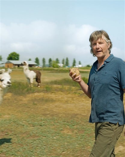 57K views · 295 reactions | Don’t believe these Lay’s® potato chips are made in Canada? This Canadian potato farmer will betcha the farm they are. | Lay's Canada | Facebook