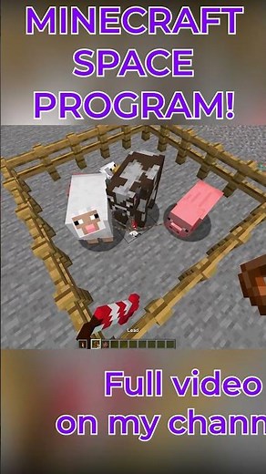 THE NEW MINECRAFT SPACE PROGRAM! - Cursed Minecraft Mods