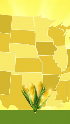 Get ready for the corniest night of your life! The Tony Award®–winning musical comedy SHUCKED is coming to the McCallum Theatre, Nov 25–30! 🌽 Called “flat out hilarious!” by The Wall Street Journal, SHUCKED features a book by Tony Award winner Robert Horn (Tootsie), a score by Grammy® Award–winning songwriters Brandy Clark and Shane McAnally (Kacey Musgraves’ “Follow Your Arrow”), and direction by Tony Award winner Jack O’Brien (Hairspray). Don’t miss Broadway’s most a-maize-ing musical!! | McC