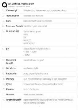 Isa Certified Arborist Exam Prep 2025 2026 Comprehensive Study Notes Based On Arborist CertificATIon