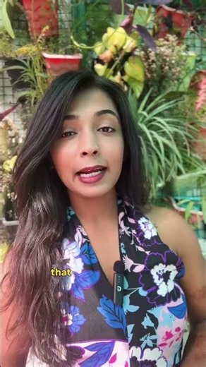 Benefits of Plant Based Omega 7 Capsules | Your Skin, Hair & Heart Will Thank You
