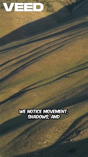 Your Body Knows When Someone Is Watching You 😮 | Human Body Mystery