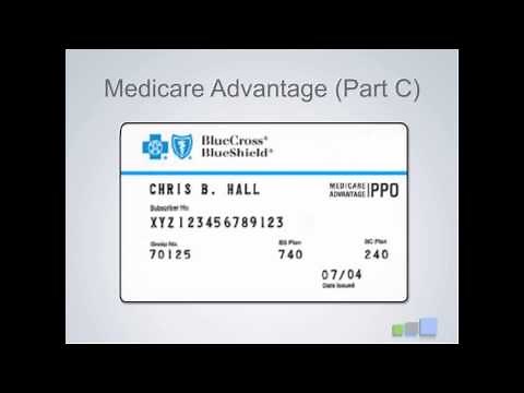 Review Of Insurance Cards
