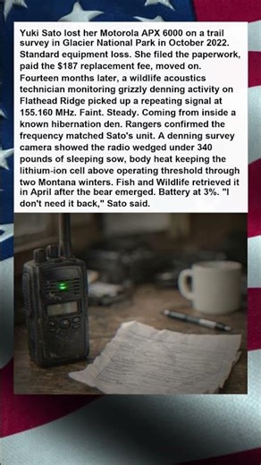 PARK RANGERS LOST RADIO TRANSMITS FROM INSIDE A BEAR DEN