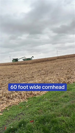 60 foot wide cornhead: harvesting tips for large cornheads