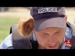 Compilation de vidéos drôles / la vidéo la plus drôle du monde 2019 #192