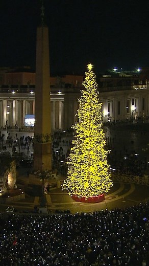 106K views · 6.8K reactions | On Saturday, in a traditional ceremony, the nativity scene was inaugurated in the centre of St. Peter’s Square and the lights of the large Christmas tree turned on. Here are some highlights from the celebration. | Vatican News | Facebook