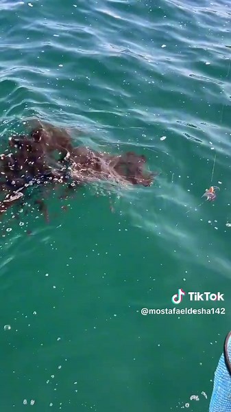 ‏Casting hooks boat💙🎣#fishing #fish #hooks