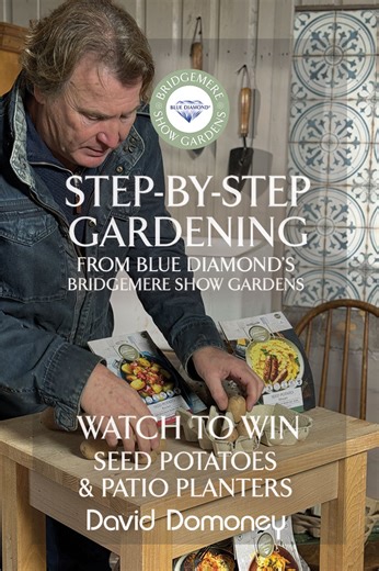 Watch To Win With David Domoney January 2026 David Domoney