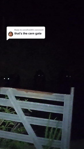 Abattoir Ranch on TikTok