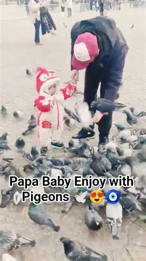 Papa Baby Enjoy with pigeon🐦😍🧿 #shorts #love #papababy #youtubeshorts #viral #birds #cutebaby