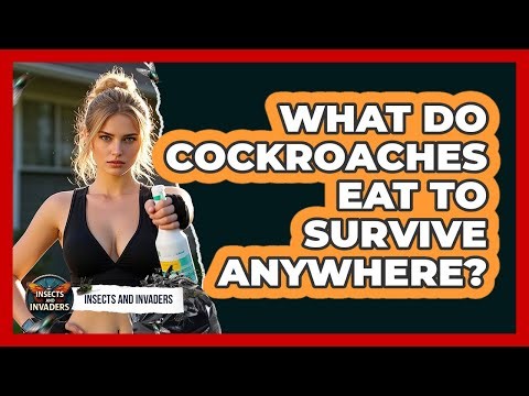 What Do Cockroaches Eat To Survive Anywhere? - Insects and Invaders
