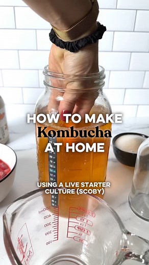 1.8K views · 16 reactions | Ready to embark on your kombucha-making...