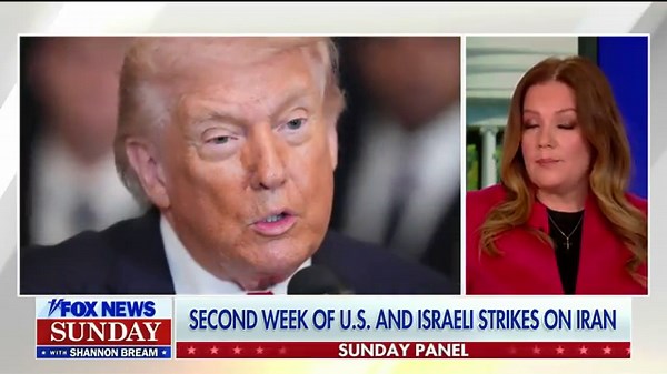 Mollie Hemingway: Republican voters will lose enthusiasm the longer Iran war goes on