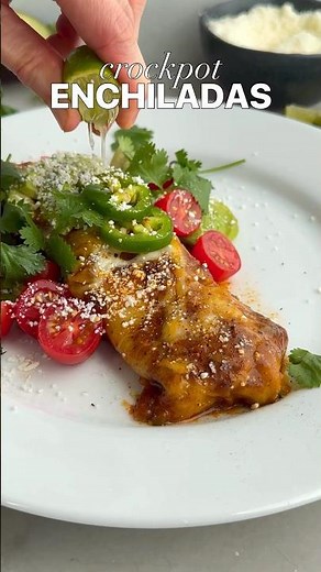 Shredded Beef Enchiladas
