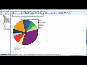 Presentation SPSS