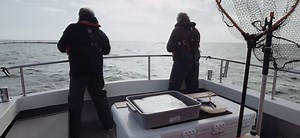 🐟 Pollack is a recreationally important species, yet remarkably little about this beautiful fish is known 🐟 How far do they travel? Where do they go? What do they eat? How old are the fish we’re catching? Recreational anglers and charter skippers across the southwest of England have been working with researchers to tackle these questions and more through Pollack FISP - a Fisheries Industry Science Partnership. Learn more about the project in this new video! University of Plymouth | Angling Tru