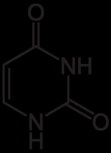 Uracil - Alchetron, The Free Social Encyclopedia