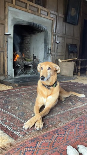 This is how things are looking at Gwydir this afternoon. We’re doing some paperwork by the fire and watching the rain fall. | Gwydir Castle