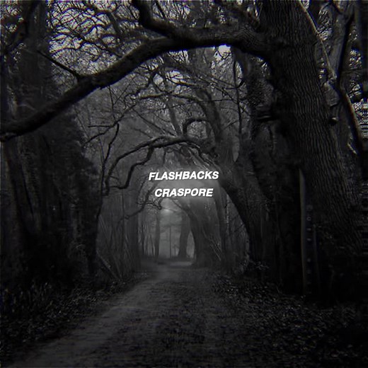 flashbacks - craspore #amourauds #editaudios #presplitaudios #editaudio #fyp #editaudiosounds