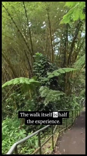 Akaka Falls, Big Island Hawaii