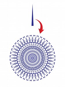 891K views · 9K reactions | Part- 8 | illustrator 2025 Tips- How to Create a Circle LOGO in illustrator Tai IT- Sahring #illustrator #illustration #logo | Tai IT- Sahring | Facebook