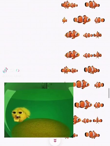 Ratatatat ratatata Dont pee on the floor, Use the commodoor #fyp #mem #trend #for #fisch