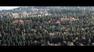 We met the Appaloosa Learn more about the history of this painted horse... - Thanks to Foundation Appaloosa DFR - www.equestrio.com | EQUESTRIO