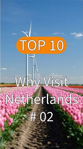 Top 10 Why visit the Netherlands - Nr 02 Tulips