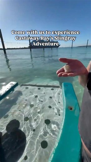 Stingray Adventure at Disney's Castaway Cay