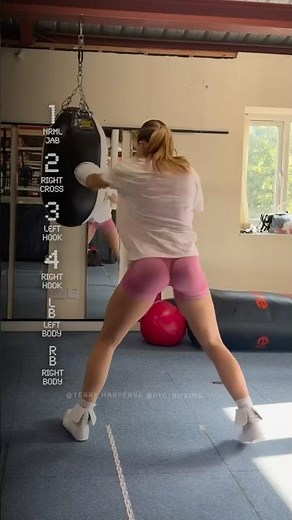 Terri Harper CRACKS Teardrop Punching Bag