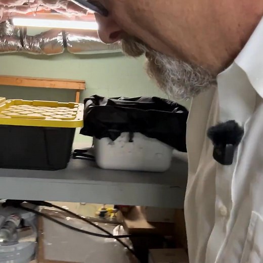 16K views · 119 reactions | Inspecting for water problems in the basement during a home inspection. | Big Ben Inspections | Facebook