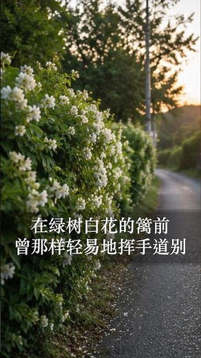 陈淑桦 席慕容《七里香》｜ Sarah Chen sings Xi Mu-Rong's poem "Seven-Mile Fragrance"