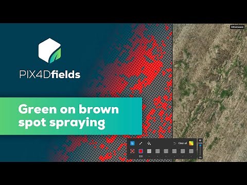 Green on Brown Spot Spraying - Mapping fallow weeds with PIX4Dfields