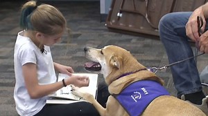 A program in Arizona helps children get comfortable with reading … with dogs! | Today Show