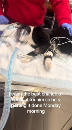 Tom is crying out for help and safety